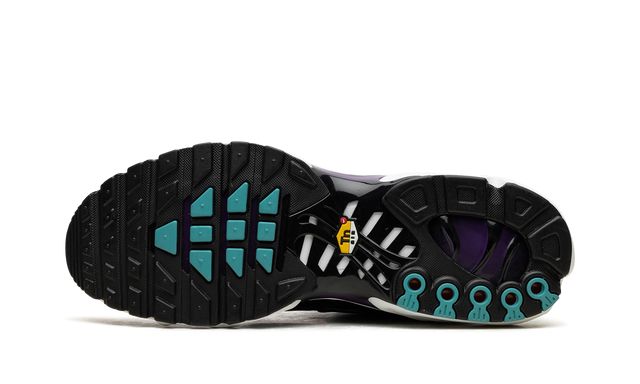 NK Air Max Plus Reverse Grape