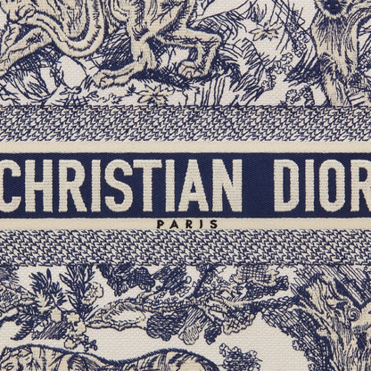 LARGE DIOR BOOK TOTE BAG