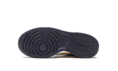 NK Dunk Low Michigan